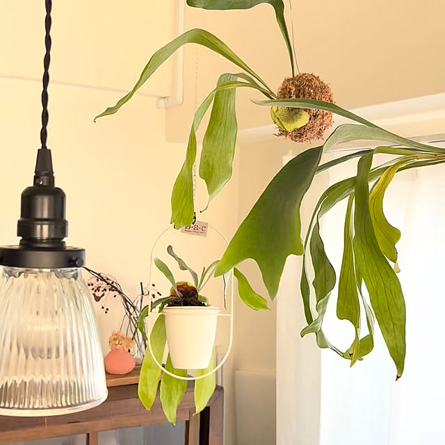 yokko_myroomさんの部屋