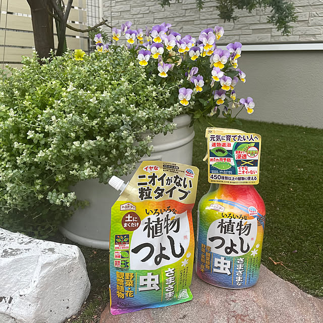 Ameriさんの実例写真