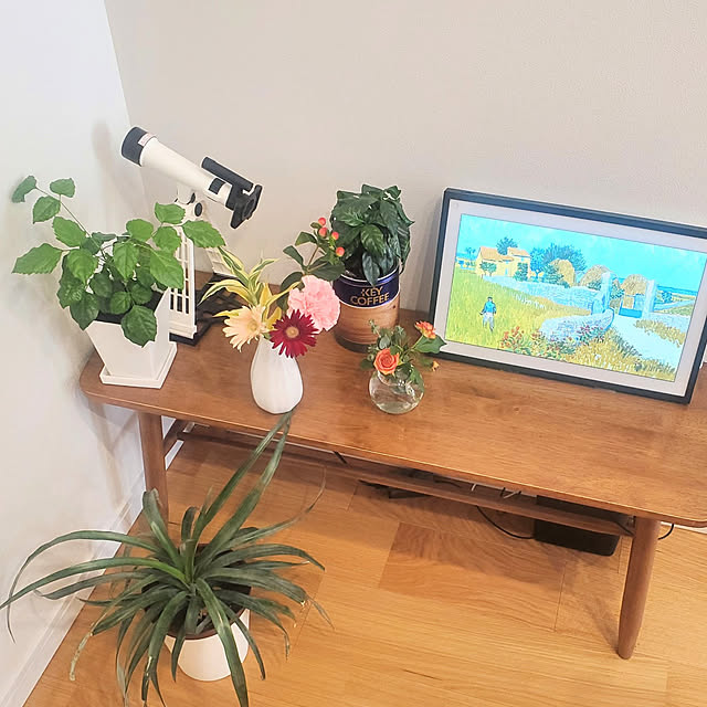tomatopapaさんの実例写真