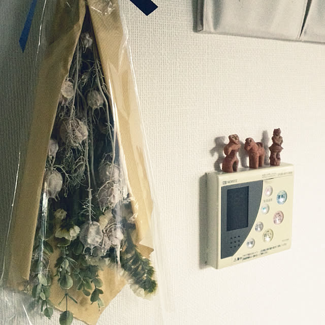 Renさんの実例写真