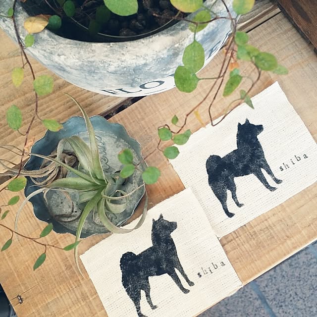 kousuiさんの実例写真