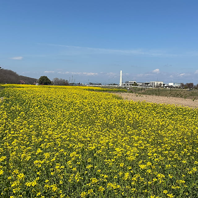 mizucchiさんの部屋