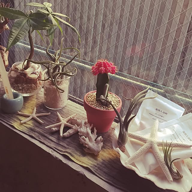 kazukazuさんの実例写真