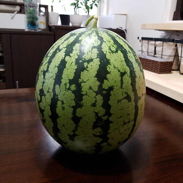 korokoroさんの実例写真