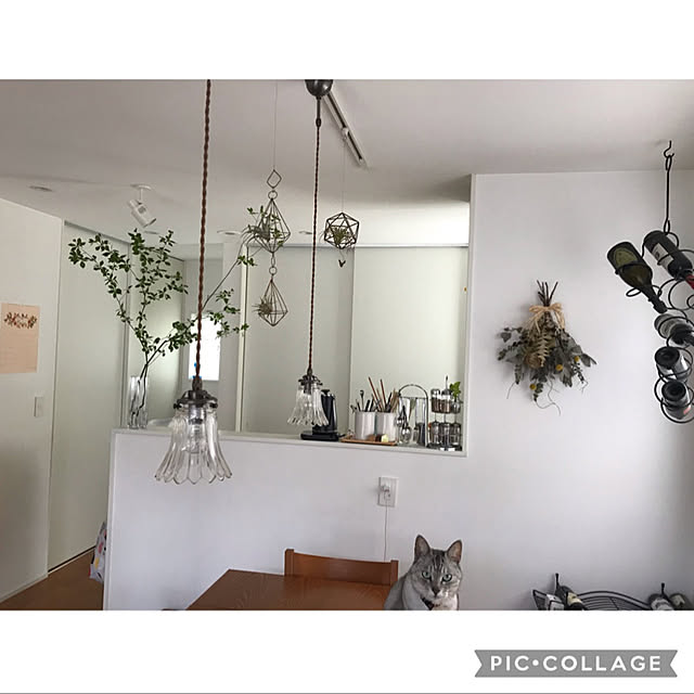 maroさんの実例写真