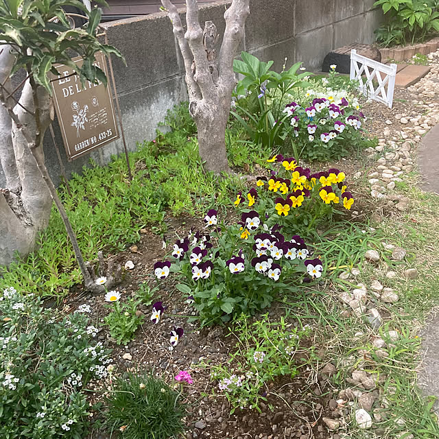 mamaさんの部屋