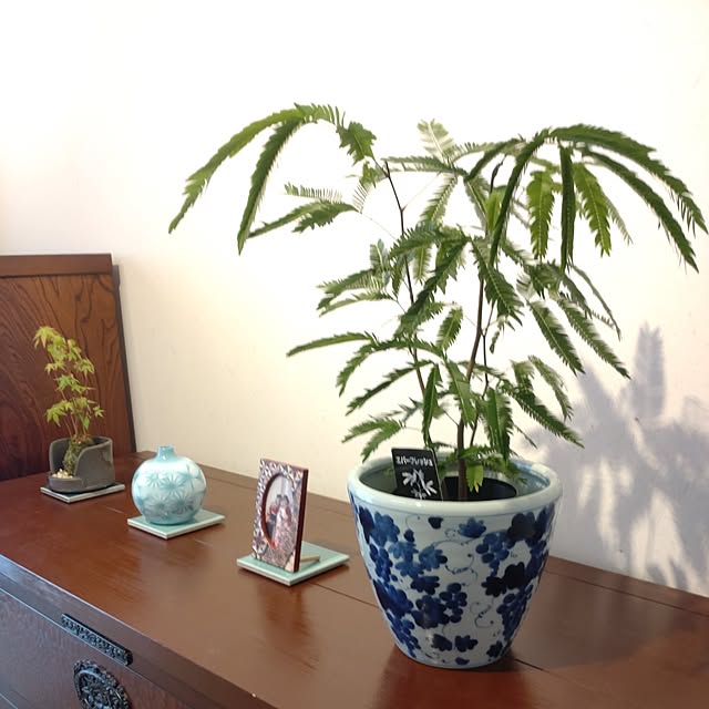 keemo293さんの部屋