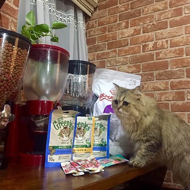 butachanさんの実例写真