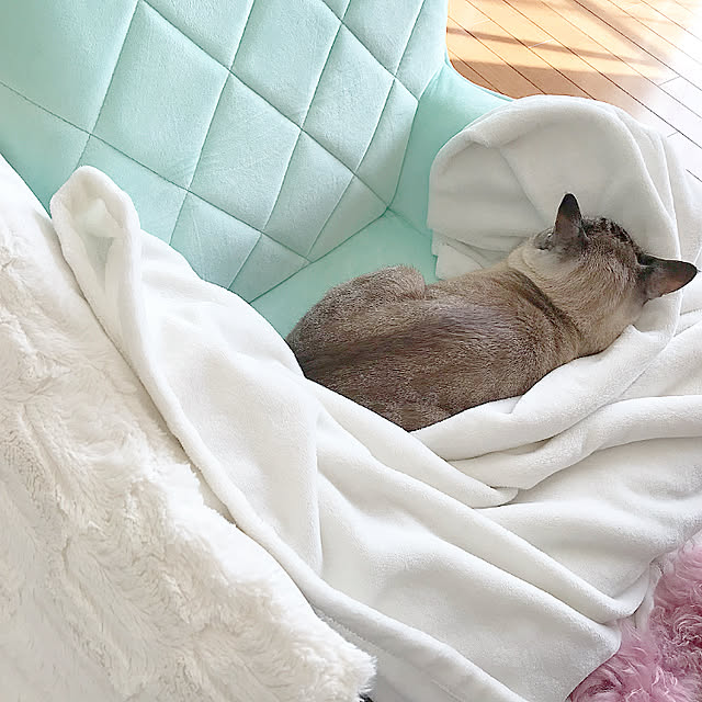 chieさんの実例写真