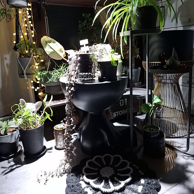 noaさんの実例写真