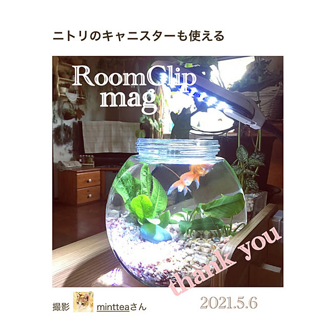 mintteaさんの実例写真