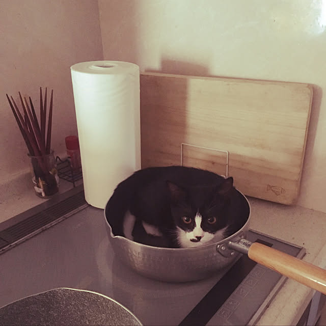 nekoさんの実例写真