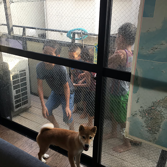 luckyさんの実例写真