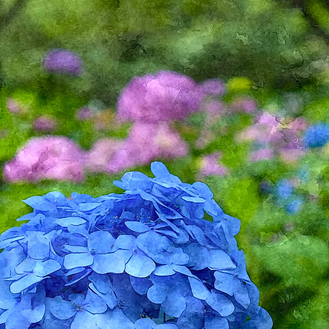 実例写真