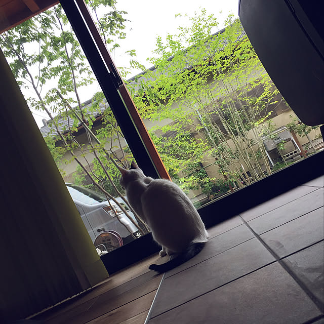 syuichi0109さんの実例写真