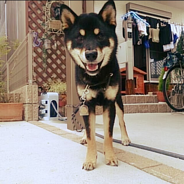 kazuさんの実例写真