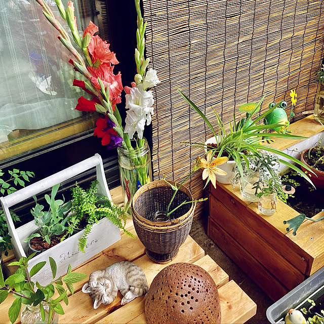 CoCo0617さんの実例写真