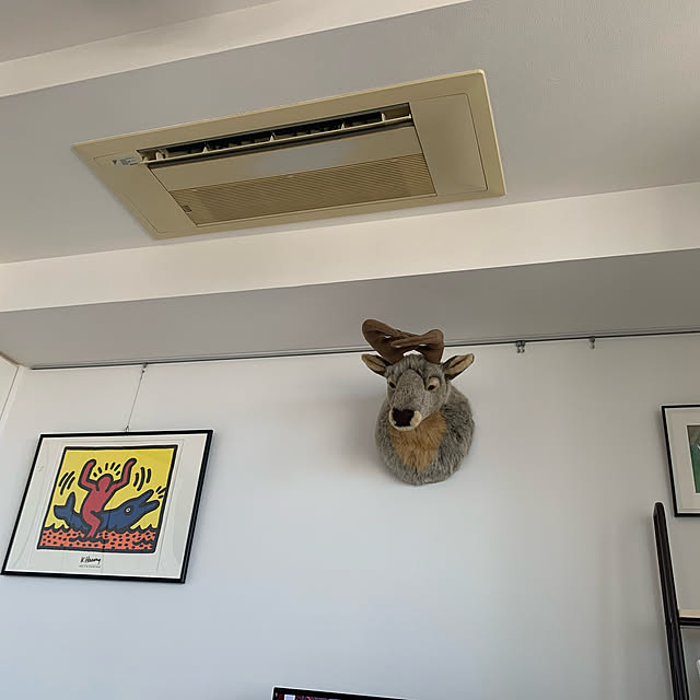 Anneさんの実例写真
