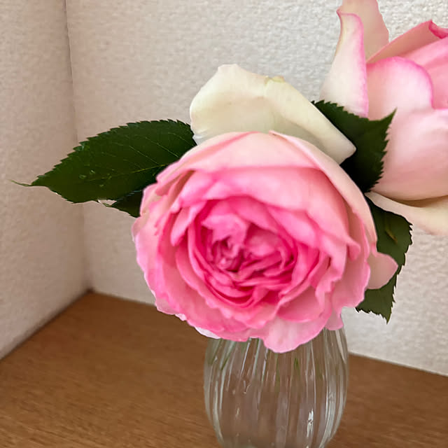 nannoさんの部屋