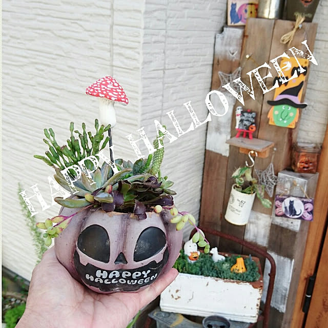 Rumnetさんの実例写真
