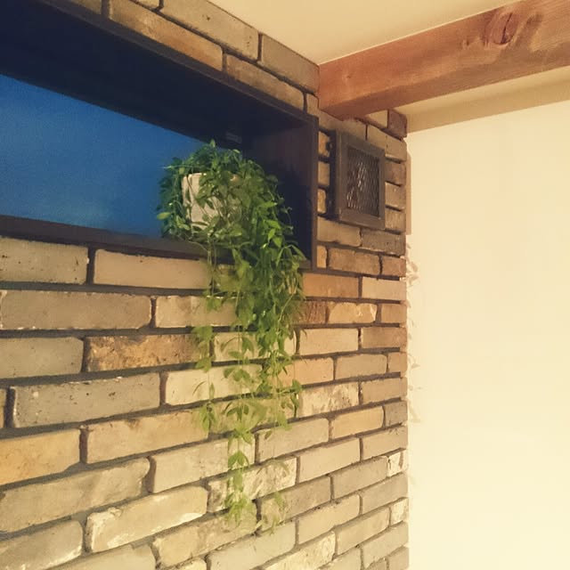 tamaさんの実例写真