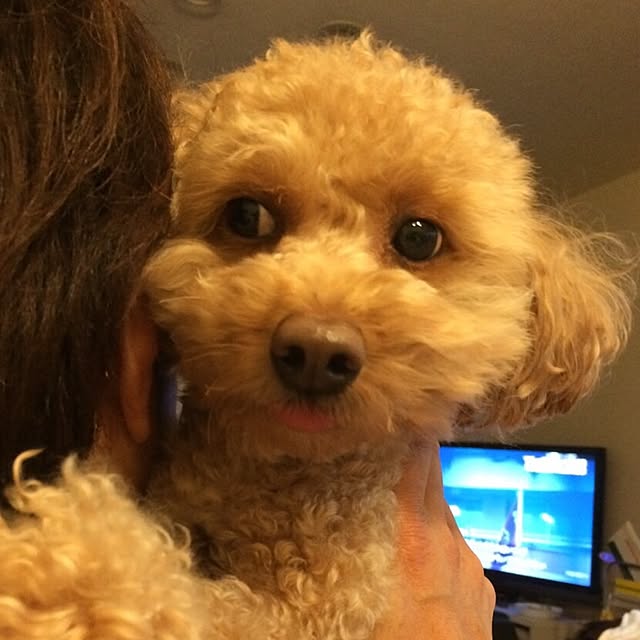 mintさんの実例写真