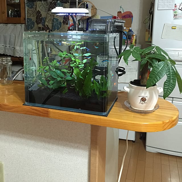 Shingoさんの実例写真