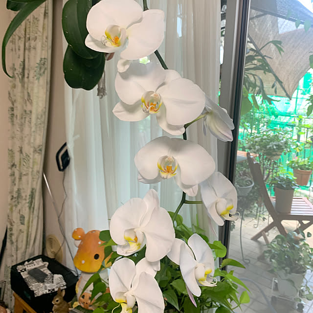Aqettyさんの部屋