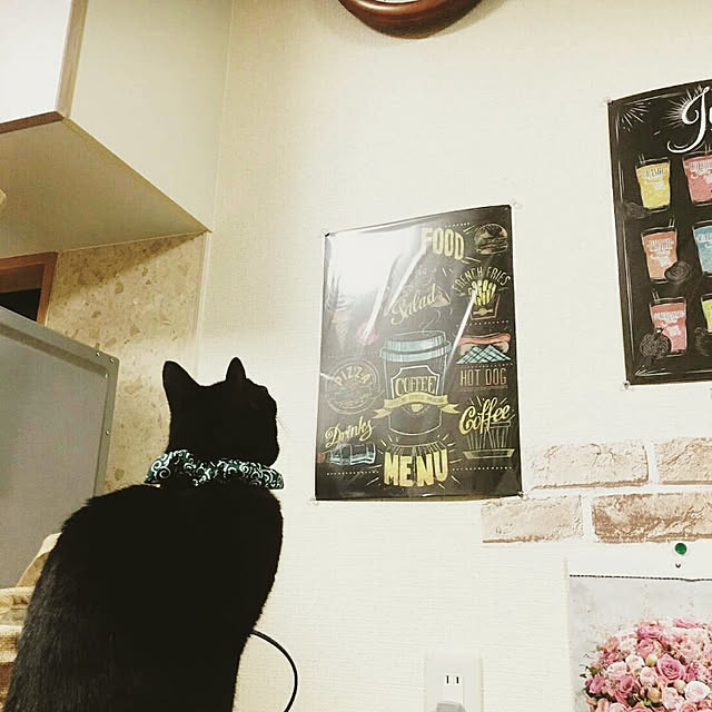 jiji.kuuさんの実例写真