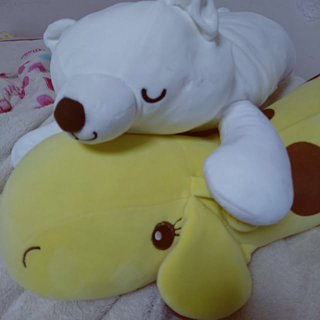 ayumiさんの実例写真