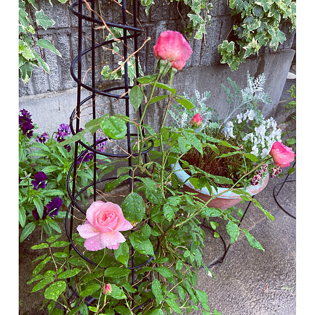 CoCo0617さんの部屋