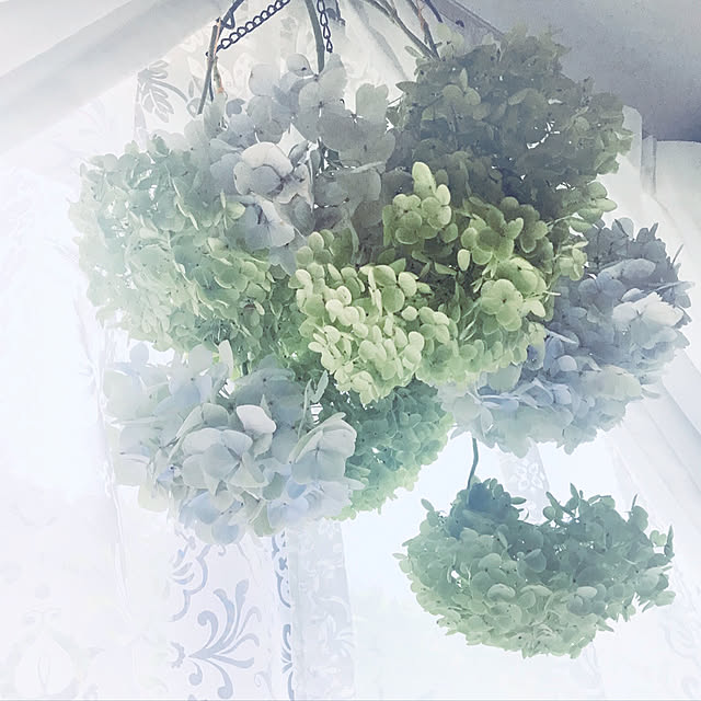 soraさんの実例写真