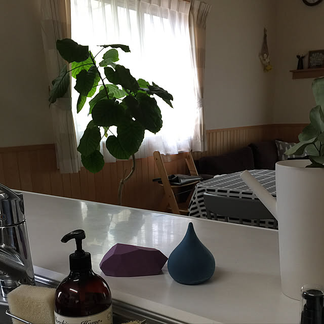 sorasoraさんの実例写真