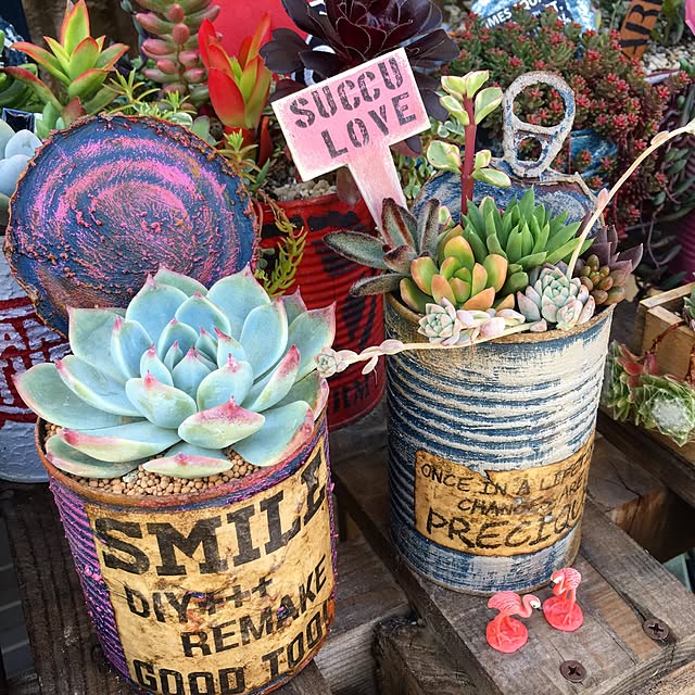 bon-bon-hippieさんの実例写真