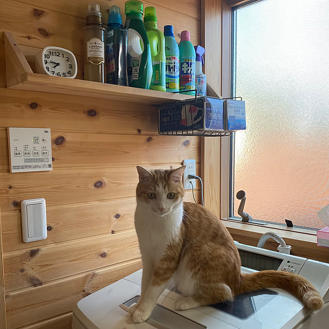 senbei.sakuramochiさんの実例写真