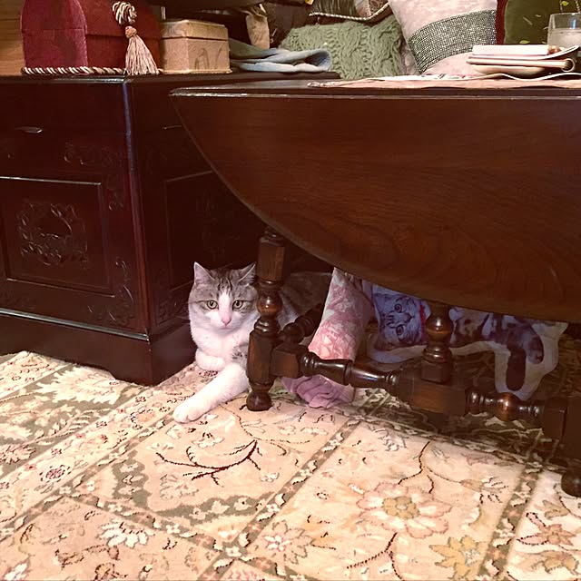 emmyyさんの実例写真