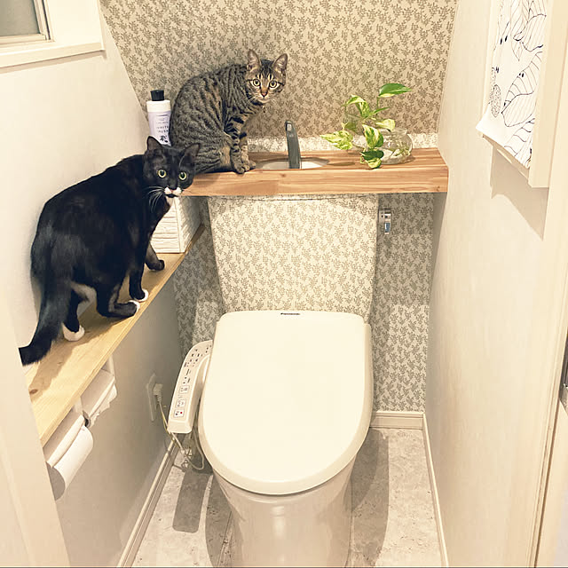masamasaさんの実例写真