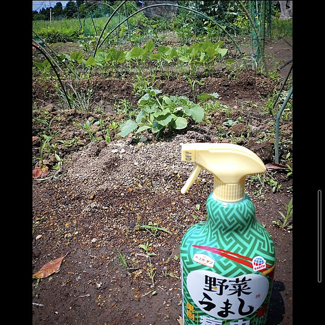 mntcさんの実例写真