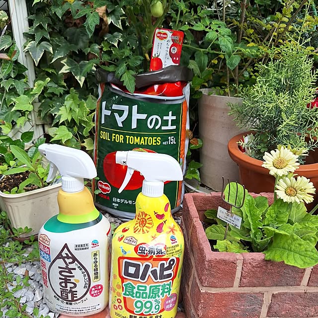 Blancheさんの実例写真