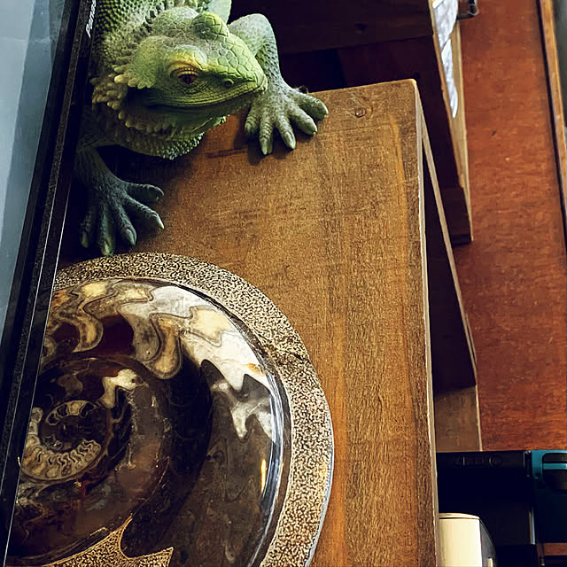 shimongaさんの実例写真