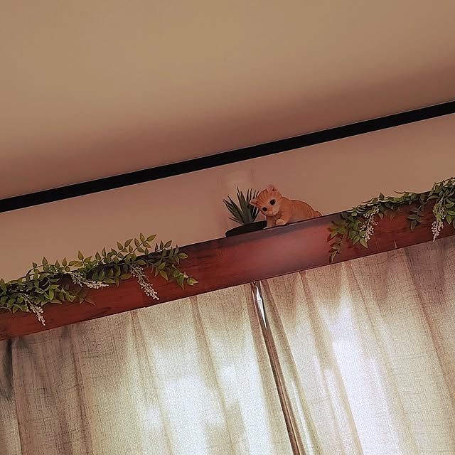 michiさんの実例写真