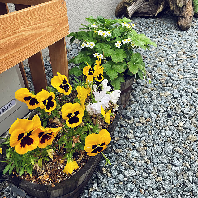 seiさんの実例写真