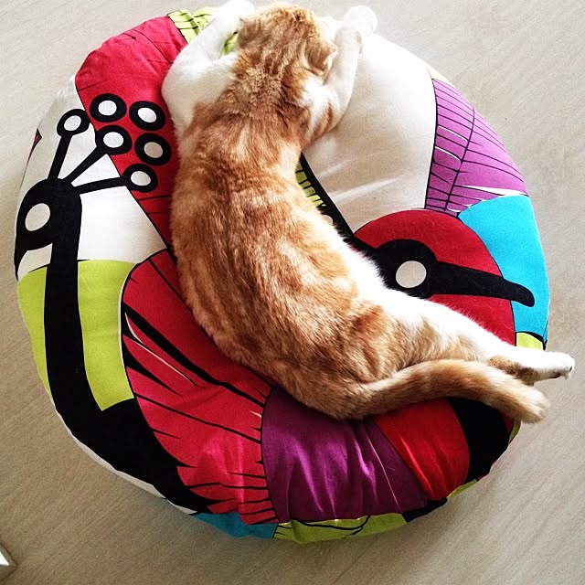 nico_mumさんの実例写真