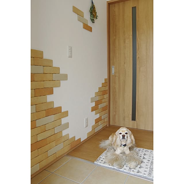 Shooowkoさんの実例写真