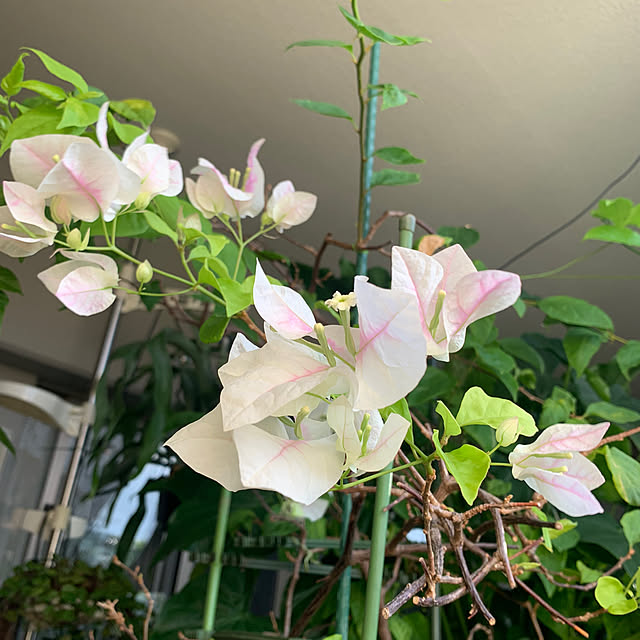 Aqettyさんの部屋