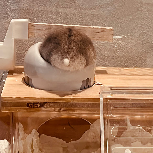 linkaさんの部屋