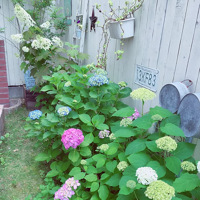 m_yng_さんの実例写真