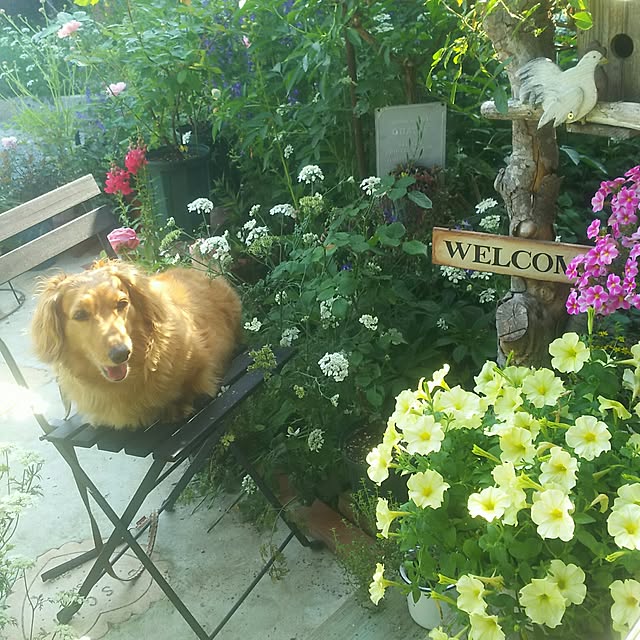 rumi888さんの実例写真