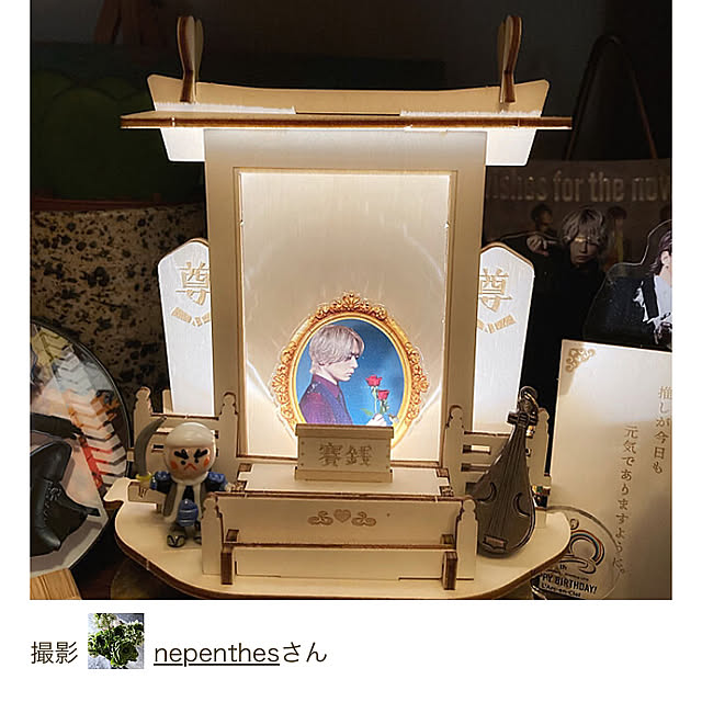 nepenthesさんの実例写真