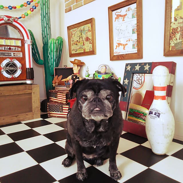 kuupugさんの実例写真